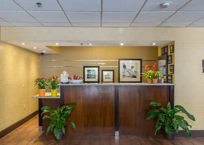 Hilton Tampa Airport Westshore